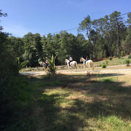Alojamento de Acomodação e Pequeno-almoço Coudelaria Foz (Leiria)