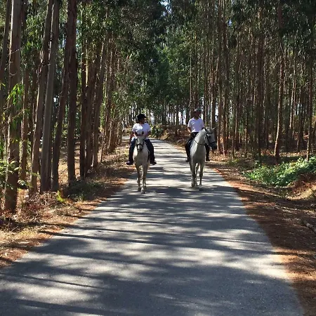 Coudelaria 3* Foz (Leiria)