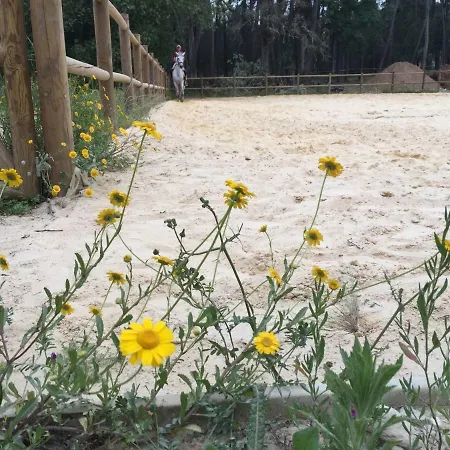 Coudelaria 3* Foz (Leiria)