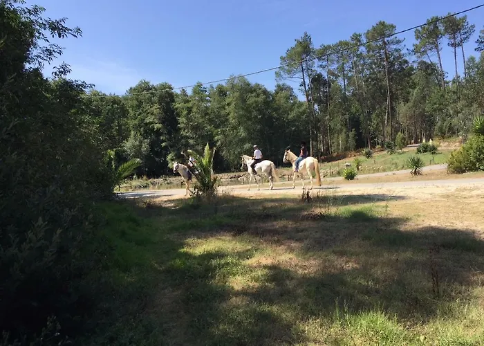 Bed & Breakfast Coudelaria Foz (Leiria)