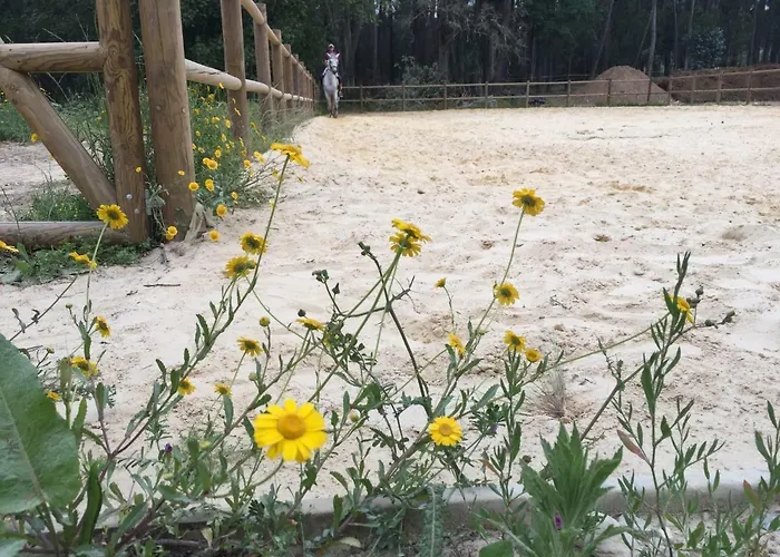 Coudelaria 3* Foz (Leiria)